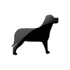 Captcha image 2991