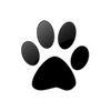 Captcha image 2838