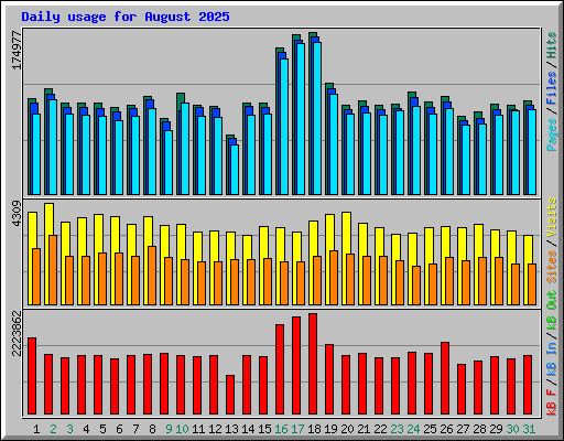 Daily usage for August 2025