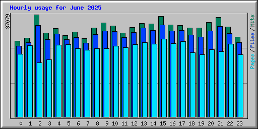 Hourly usage for June 2025