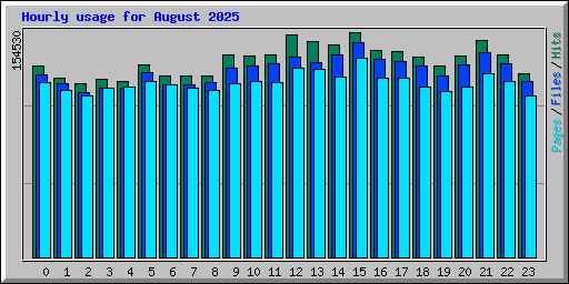 Hourly usage for August 2025