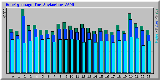 Hourly usage for September 2025