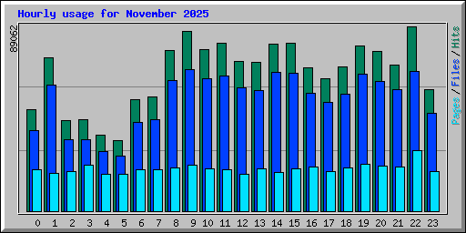 Hourly usage for November 2025