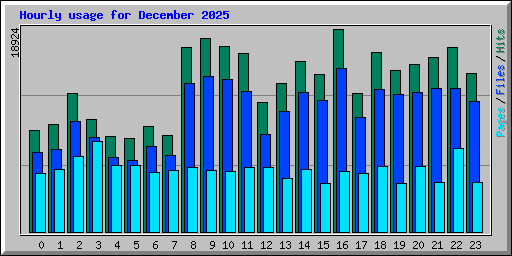 Hourly usage for December 2025