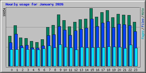 Hourly usage for January 2026