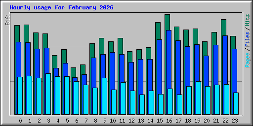 Hourly usage for February 2026