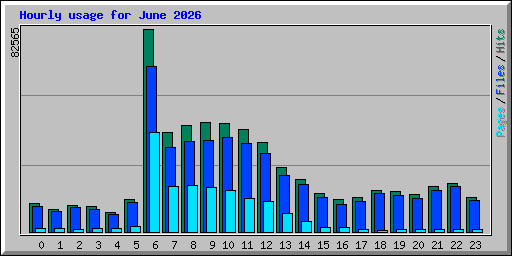 Hourly usage for June 2026